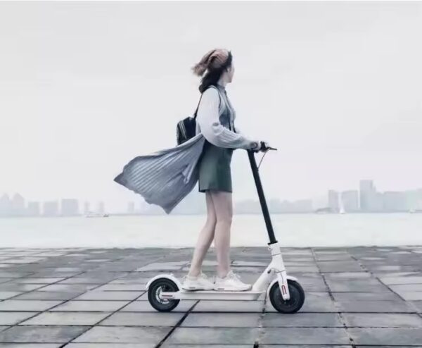 Adults Electric Scooter