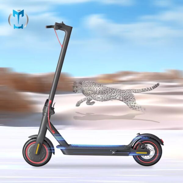 AS03-Eco-Friendly Most Loved Design