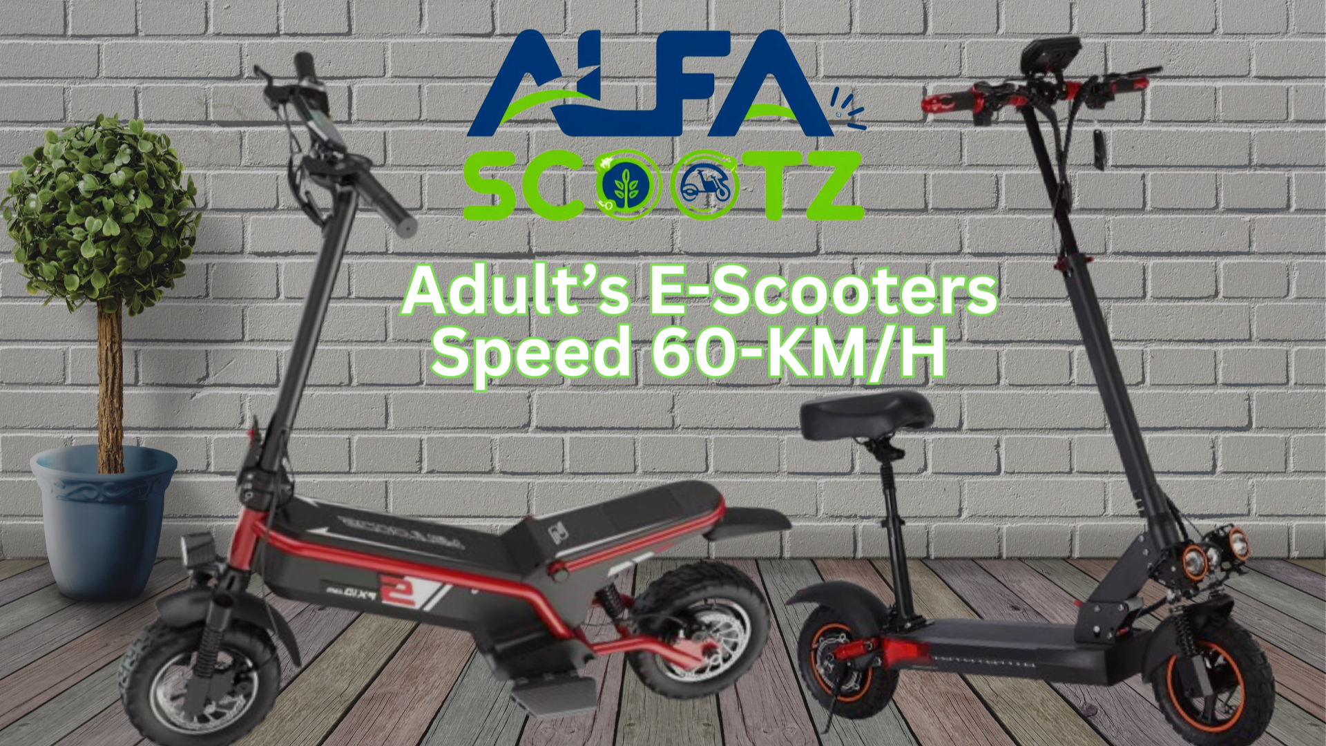 Explore 2025 with Eco-Friendly E-Scooters (1)