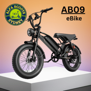 AB09 Long Range Fat Tyres Electric Bike